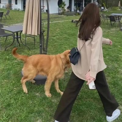 终极正义